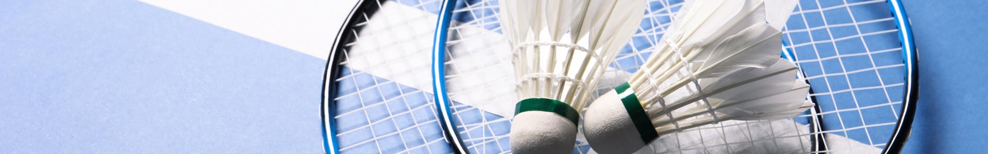 badminton_2_1920_visuel_pc_gymnase_bernard_gasnal_3_rue_maupertuis