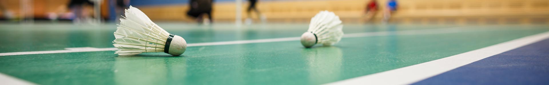 badminton_3_1920_visuel_pc_gymnase_bernard_gasnal_3_rue_maupertuis