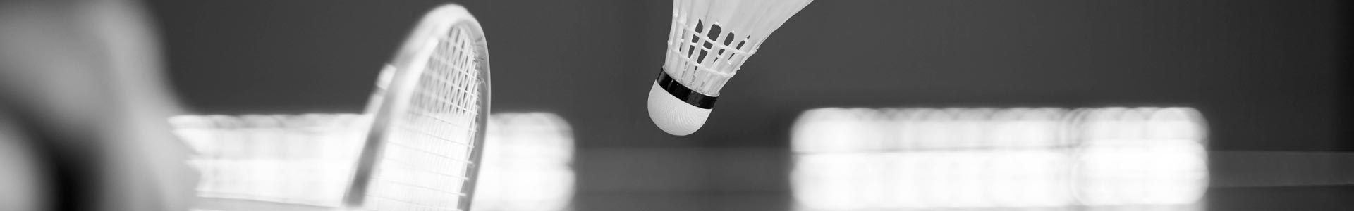 badminton_6_1920_visuel_pc_gymnase_bernard_gasnal_3_rue_maupertuis